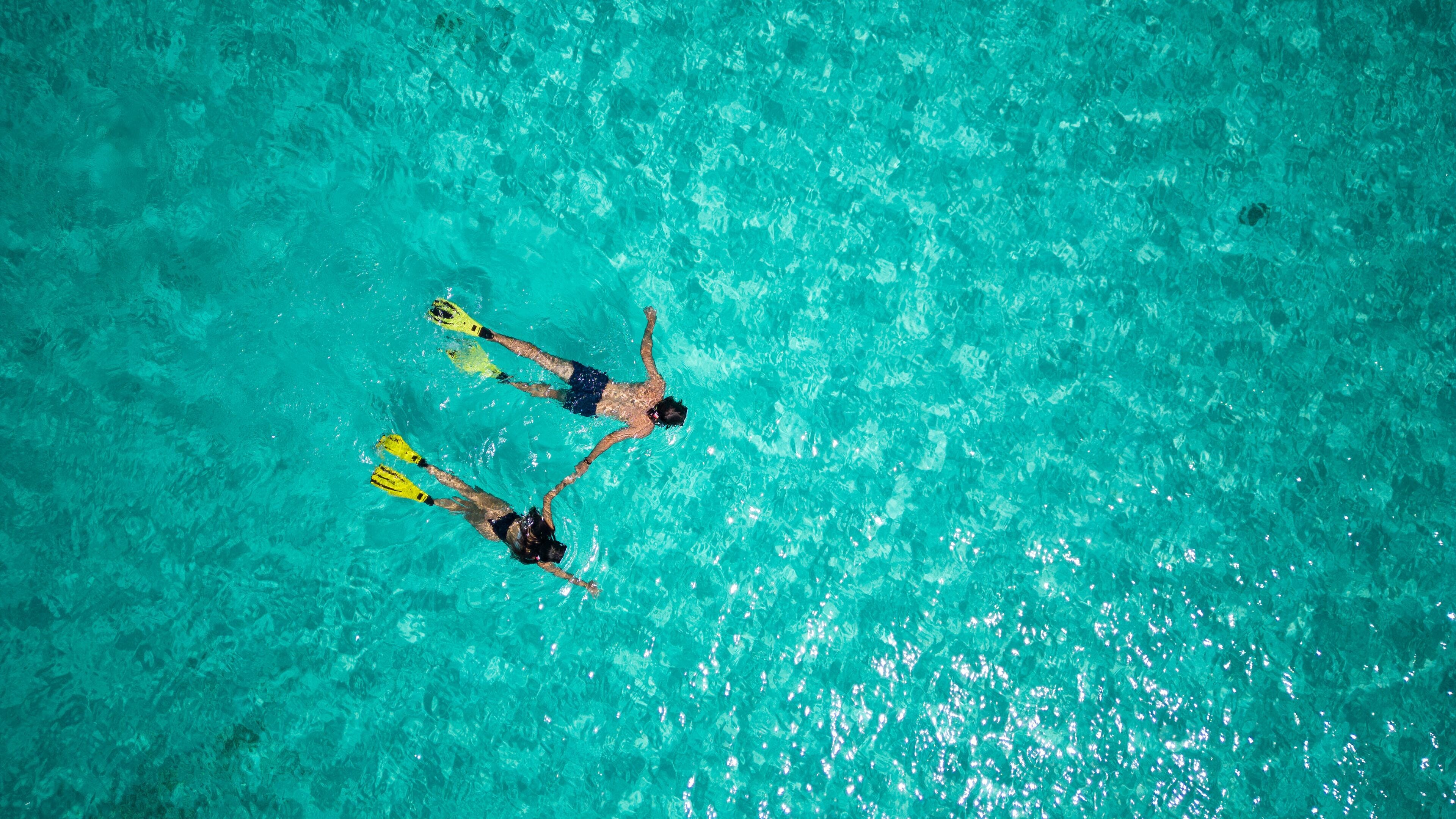 An aerial view of a clear blue pool with two people swimming.