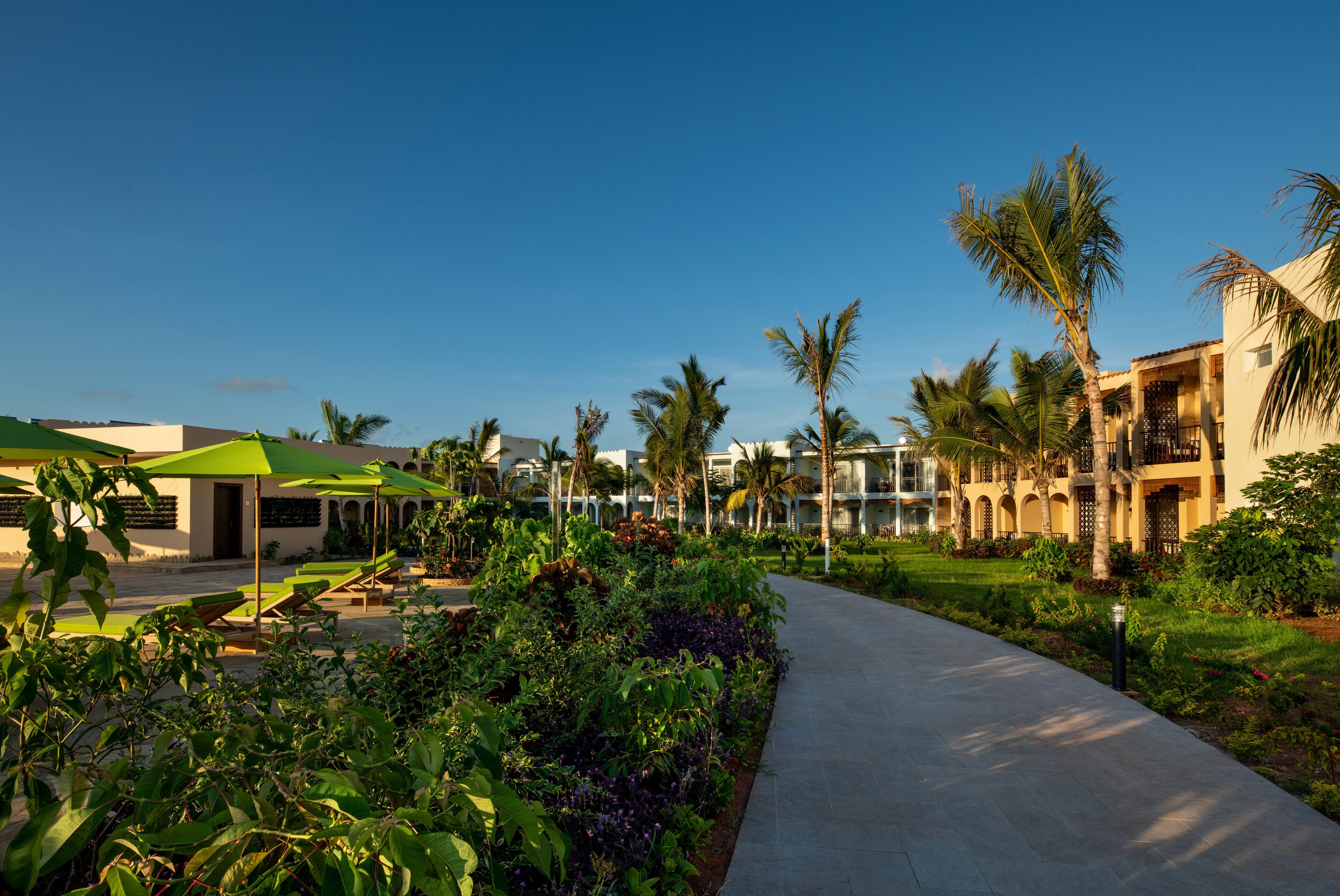 Un resort con un camino pavimentado, palmeras y follaje.