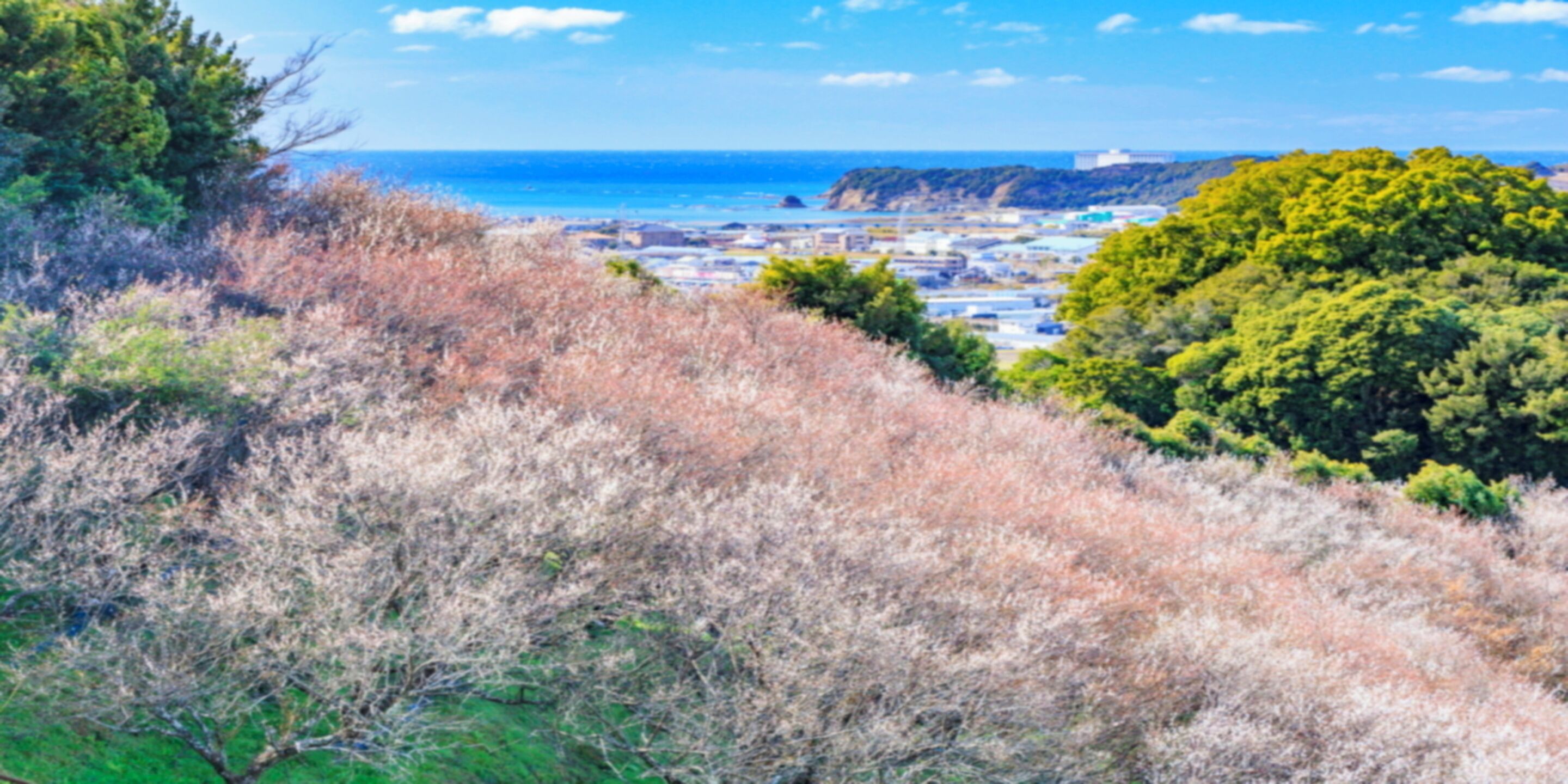 Un paisaje costero con vista al mar, un pueblo a lo lejos y una colina con vegetación escasa.
