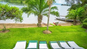 A grassy area with six lounge chairs aligned in a row, a palm tree, and a body of water in the background. - Paradis Malahide (Nyayumba)