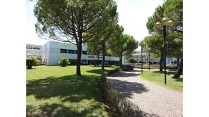 Ulkoalueet