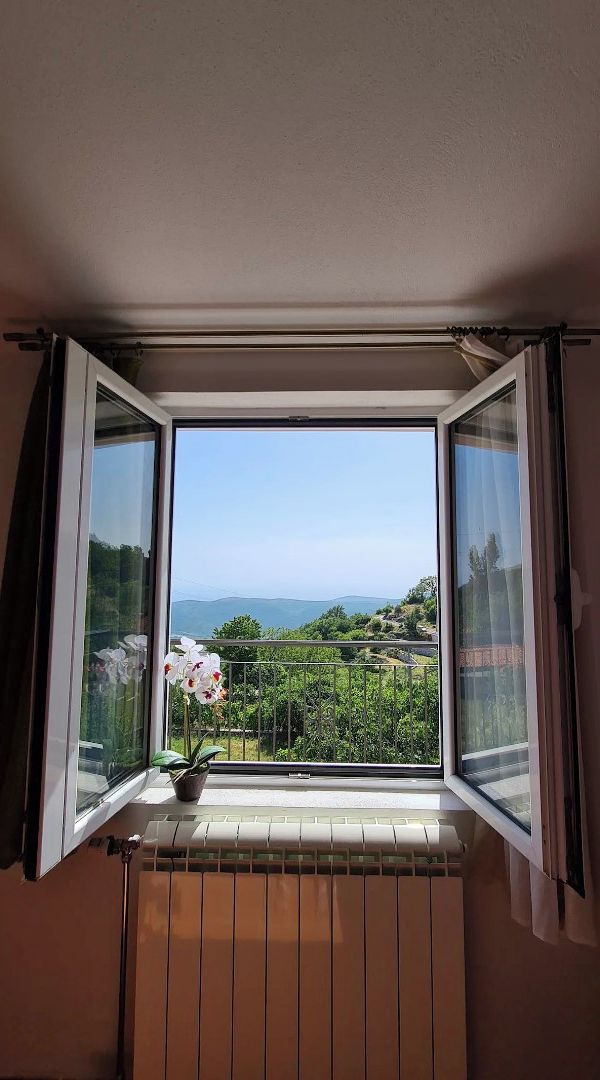 Une fenêtre donnant sur un balcon, avec une plante en pot et un ciel dégagé.