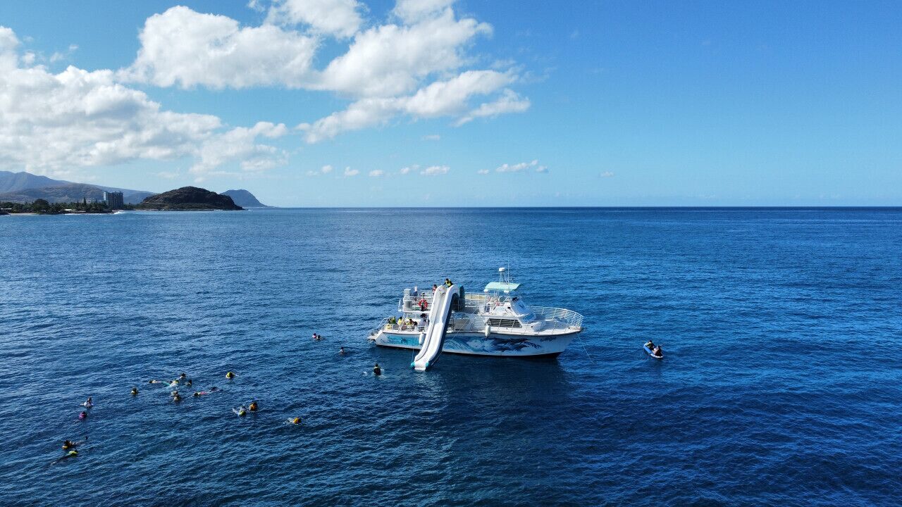 Dolphin & ocean excursions only 3 miles away!
