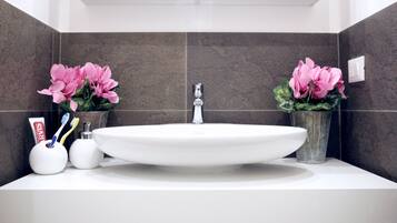 Douche, sèche-cheveux, bidet, serviettes fournies