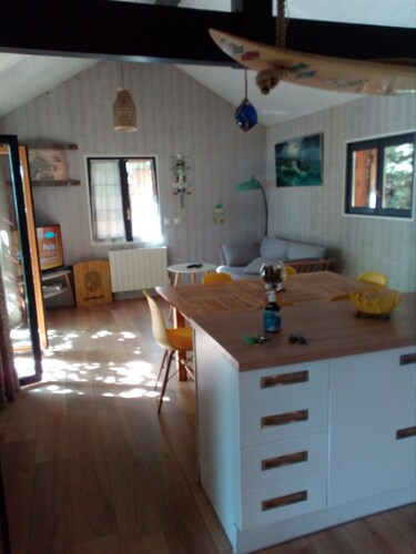 Lakeside cottage private pontoon