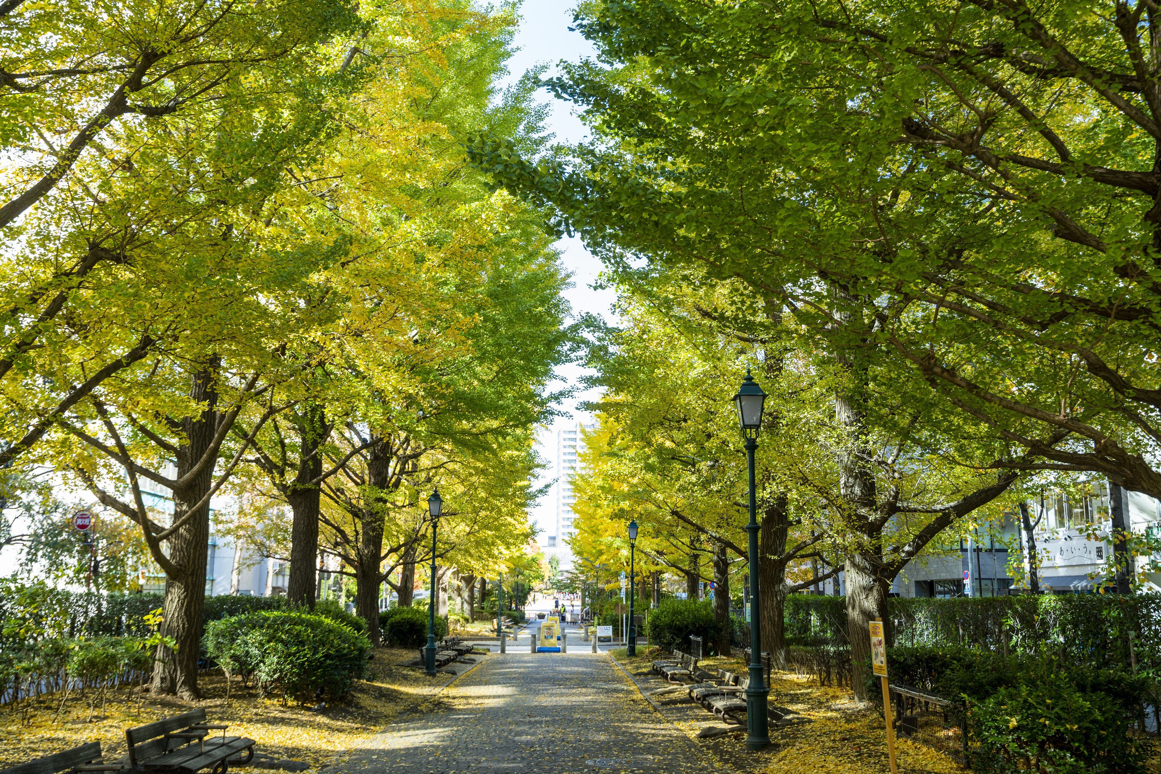 Photo - KOKO HOTEL Premier Nihonbashi Hamacho