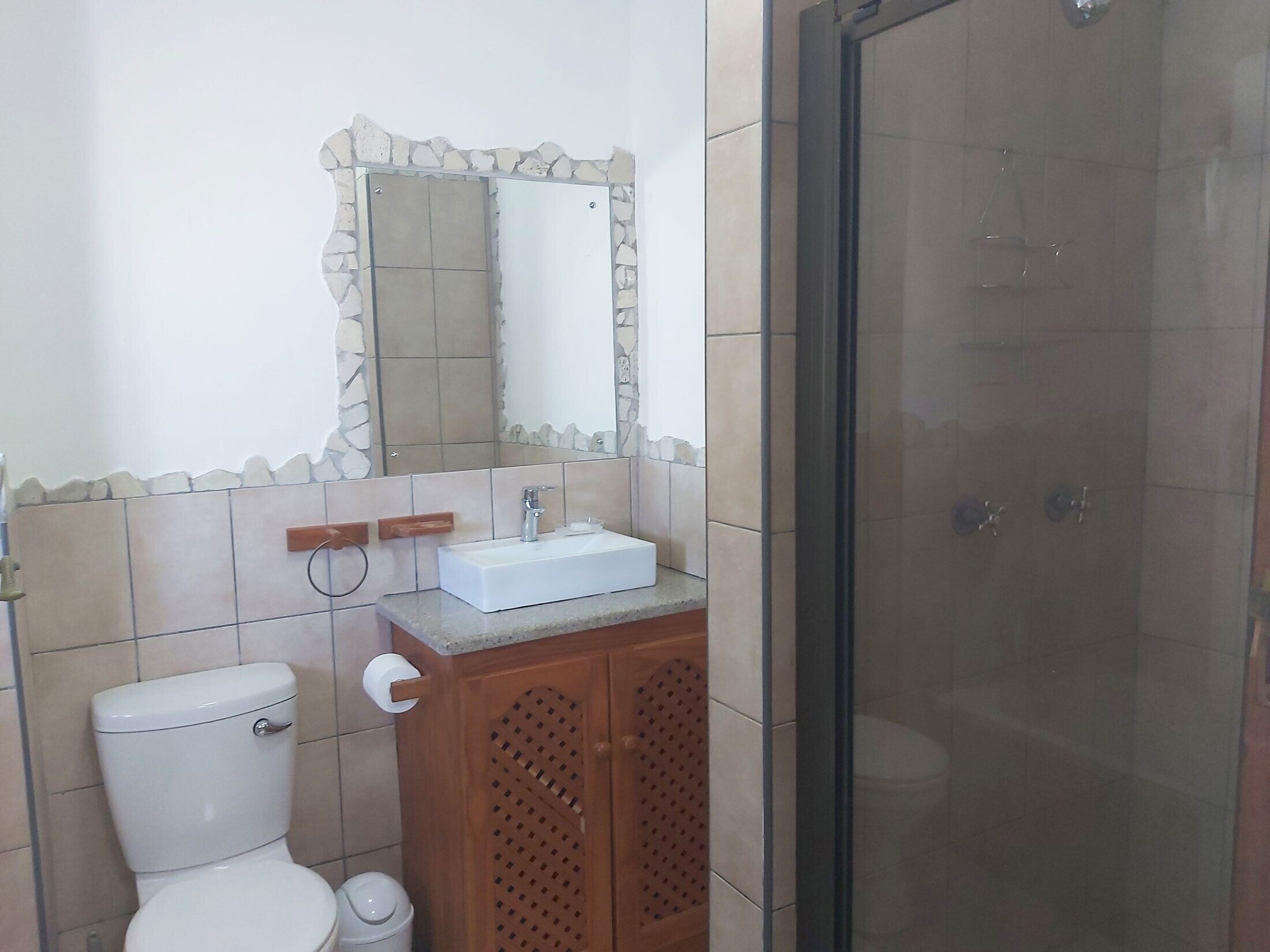 A bathroom with a toilet, sink, mirror, and shower.