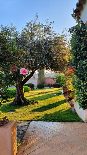 A well-maintained garden with a variety of plants, a large tree with a pink flower, and a tiled pathway. - Villa Dammusello with Pool, Garden & Wi-Fi (Marsala)