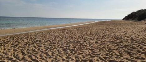 Nära stranden