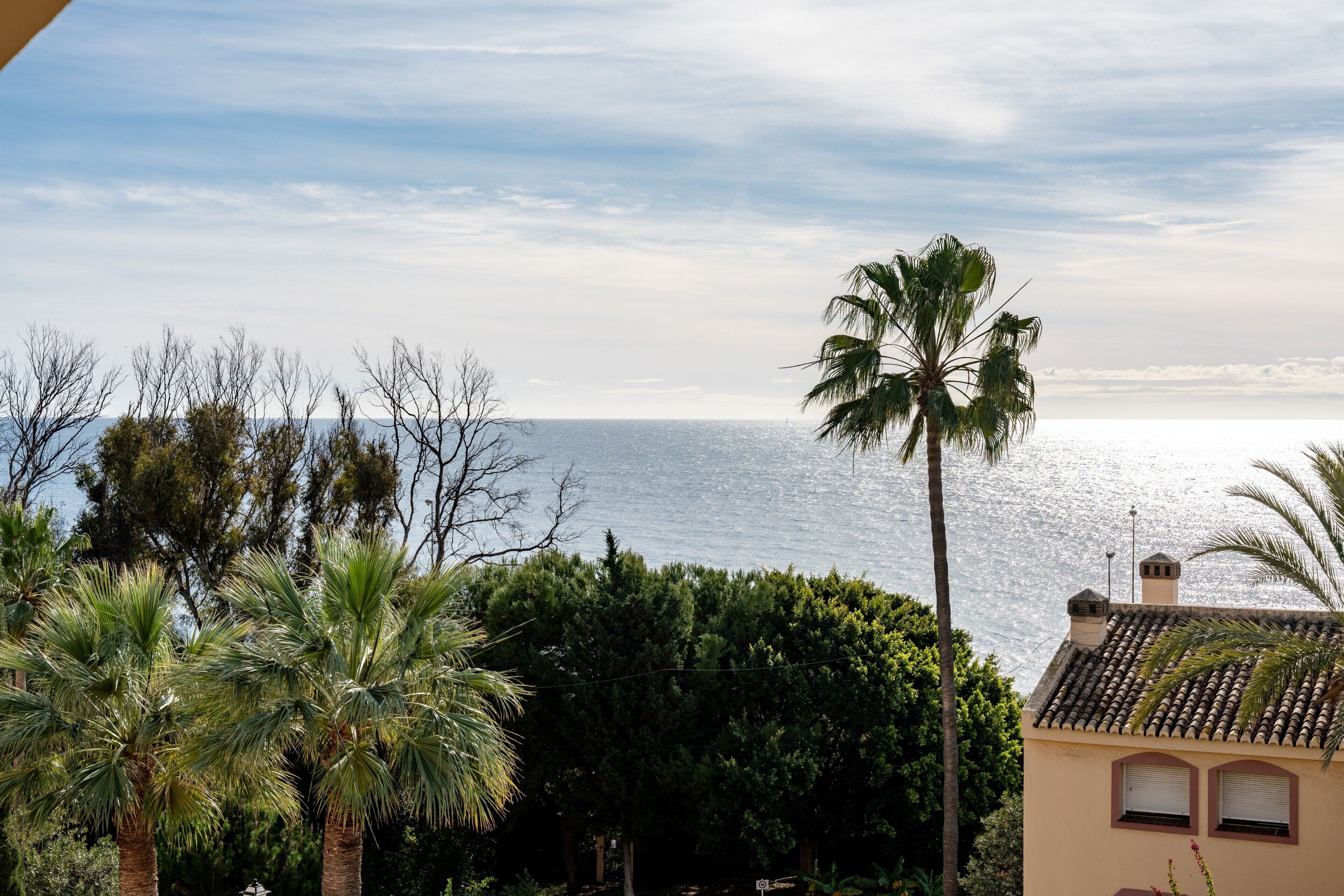 A coastal view with palm trees and a building with a tiled roof.