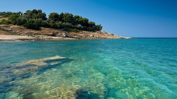 Spiaggia