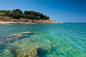 A coastal landscape with clear water, a rocky shoreline, and a forested hill.