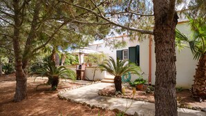 Un jardín con árboles, un sendero y un edificio con pared blanca y contraventanas verdes.