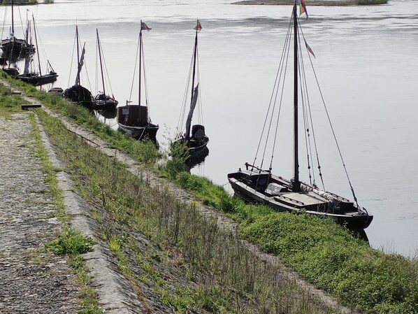 A row of boats docked along a riverside path. - Les Logis d Ussé (Rigny-Usse)