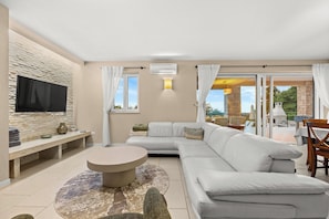 Smart TV, chimenea, reproductor de DVD y libros