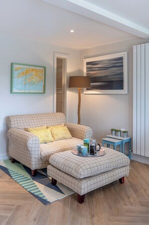 Televisor, llar de foc i llibres 