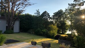 Ein Wohnhausgarten mit Rasenfläche, einem großen Baum und einem Haus im Hintergrund.