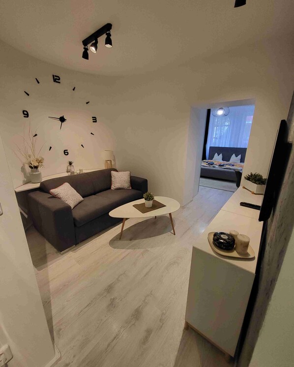 City Apartment, 1 Bedroom, Kitchenette | Living area
