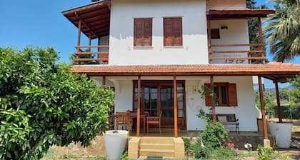 Cosy villa in a big mandarin garden close to seaside