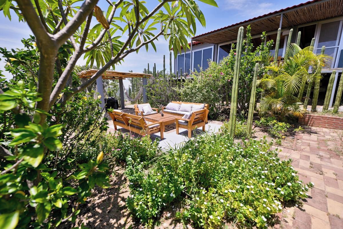 Eine Terrasse mit Holztisch und Stühlen, umgeben von üppiger Vegetation und Kakteen.