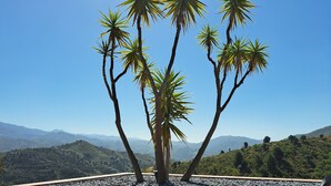 Una terraza con una palmera y vistas a montañas distantes.