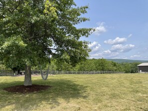 A grassy field with a tree and a wooden fence.