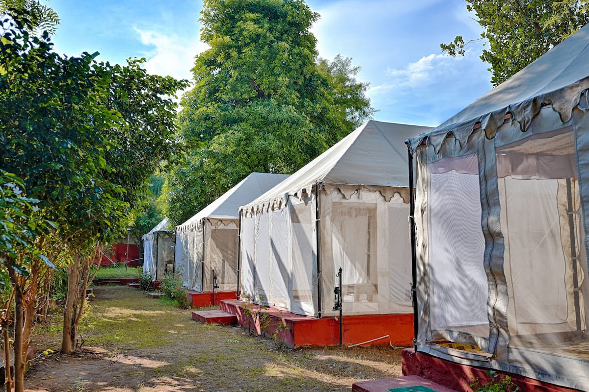 A row of white tents with red bases, set in a grassy area with trees in the background.