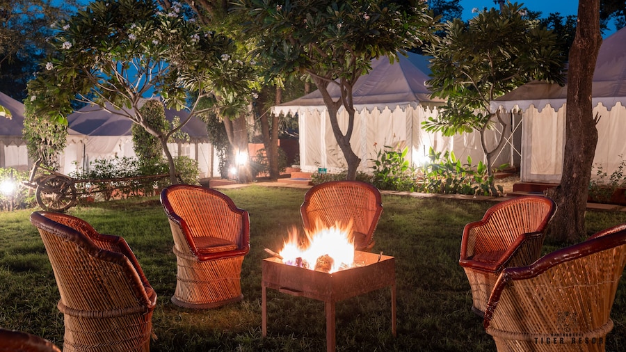 Ranthambore Tiger Resort by Park Tree