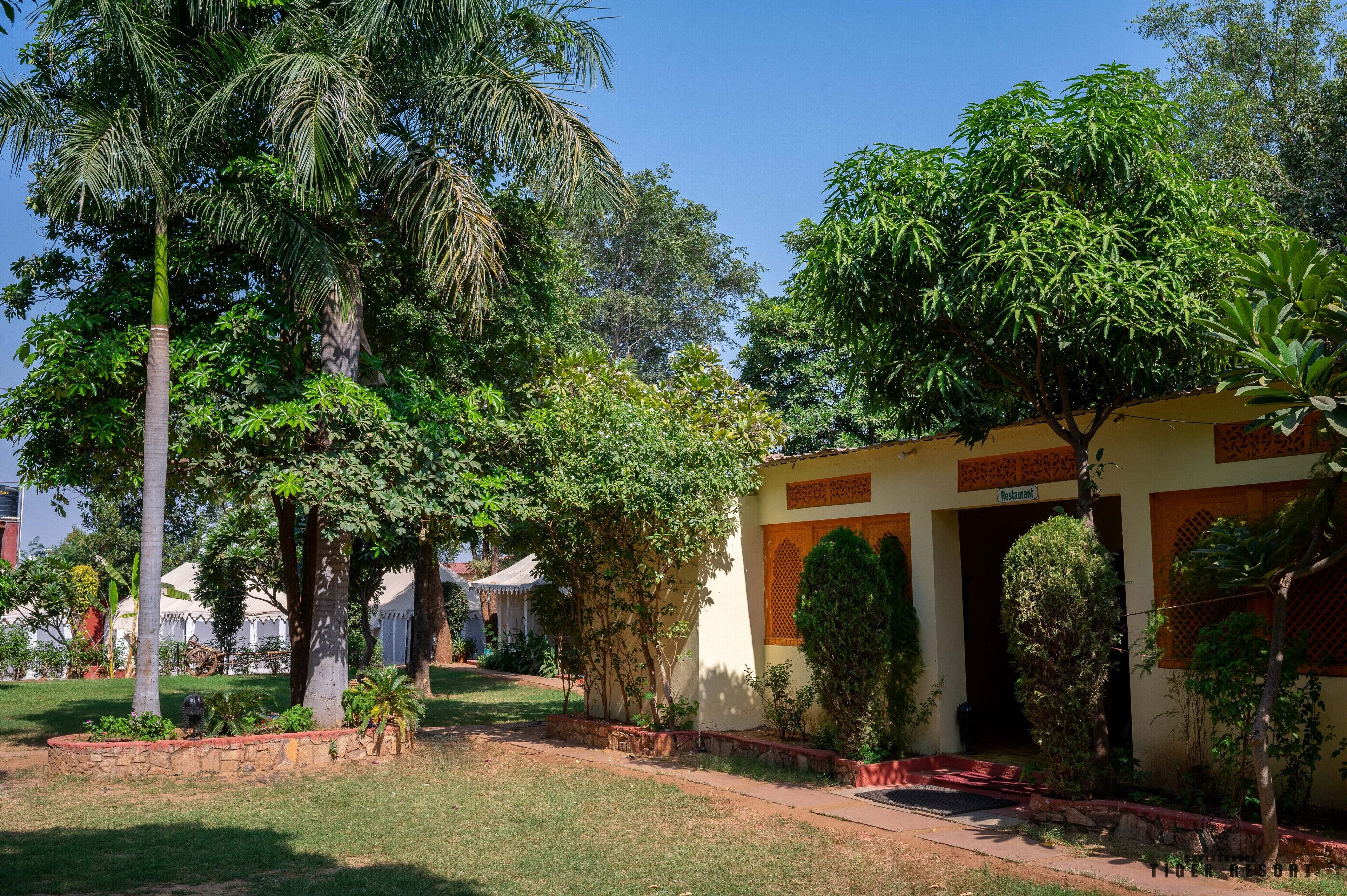 Opções para refeição em família