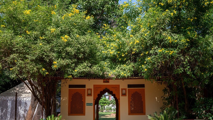 Ranthambore Tiger Resort by Park Tree