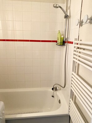 Combined shower/bathtub, hair dryer, towels, toilet paper - Duplex 2min walk from village center, parking + lift (samoëns)