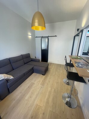 Living area - T2 41 m2 CANNES bas SUQUET with parking, near beach and town center (Cannes)