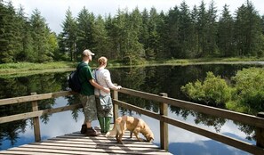 Property grounds - Sleeps 6 guests in 3 bedrooms (Ulverston)