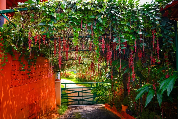 Entrée de l’hébergement
