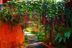 Un jardín exuberante con un portón verde que da a un sendero.