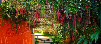 Deva Maani Coorg Nature Holiday