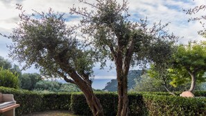 A garden with two prominent trees, a hedge, and a distant view of a mountainous coastline.