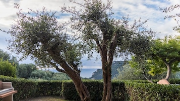 Appartamento | 1 camera