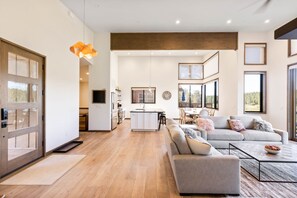 TV, fireplace, computer monitors
