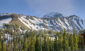 Un paysage de montagne avec des sommets enneigés et une forêt d’arbres à feuilles persistantes.