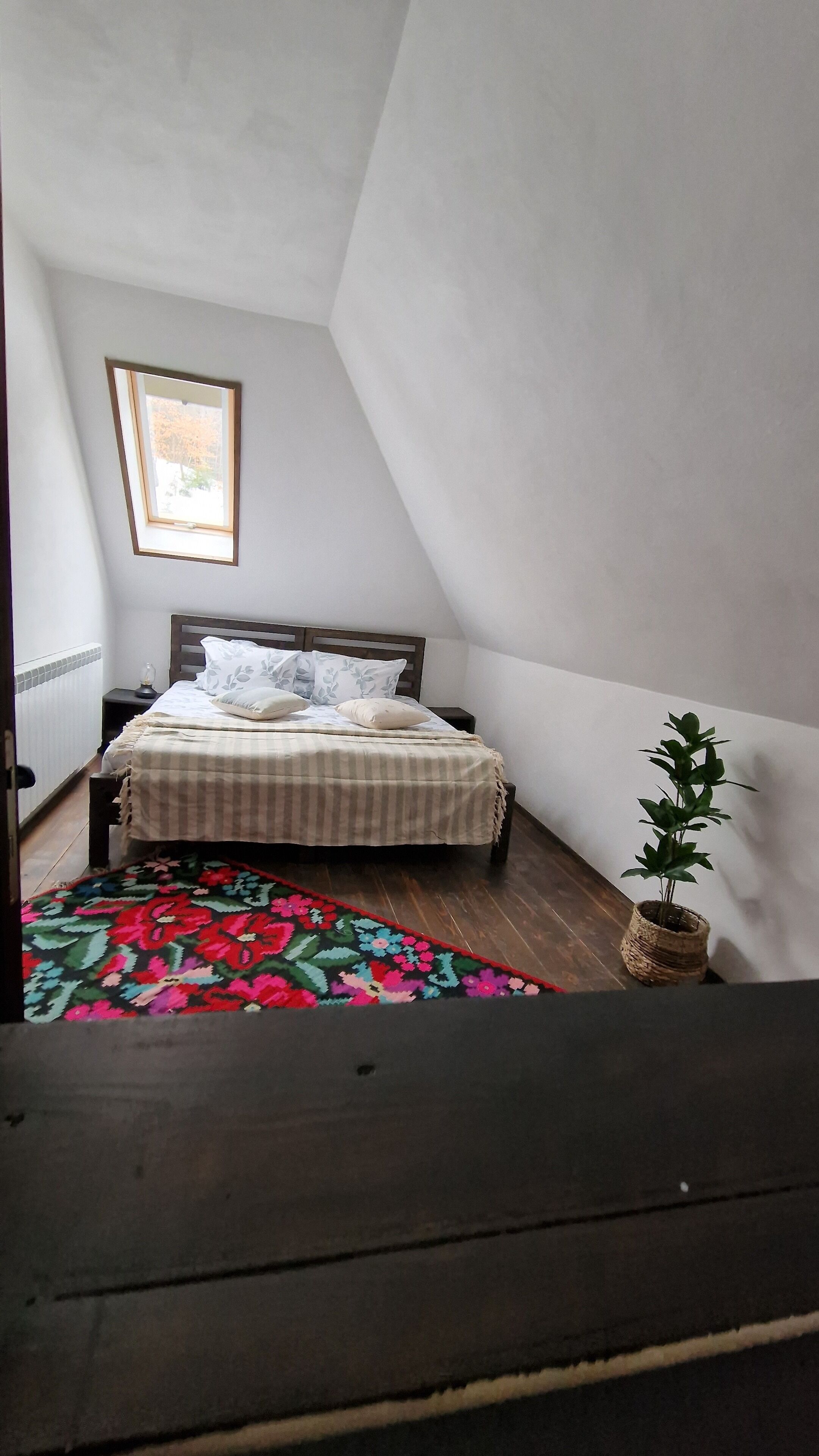 Een slaapkamer met een bed, een raam, een plant en een kleurrijk vloerkleed.