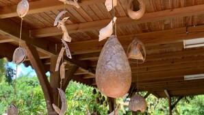 Techo de madera con comederos para pájaros colgantes e hidromasaje al fondo.