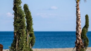 Uma trilha de madeira ladeada por arbustos verdes e flores amarelas, que leva a uma praia com o oceano ao fundo.