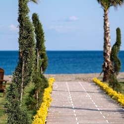 Beach/ocean view