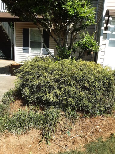 serene and quiet apartment  minutes away from  shopping areas