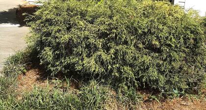 serene and quiet apartment minutes away from shopping areas