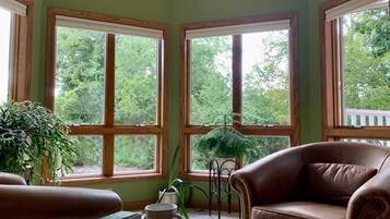 Smart TV, fireplace, video games, DVD player