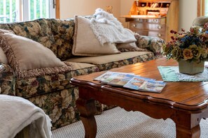 Smart TV, chimenea, videojuegos y reproductor de DVD 