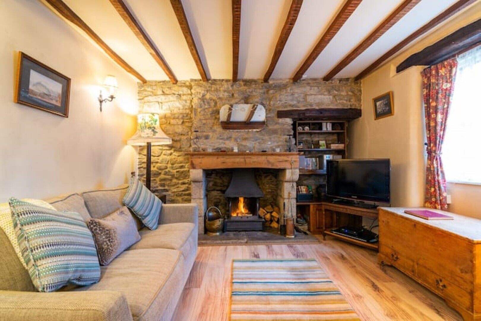 TV, fireplace, books