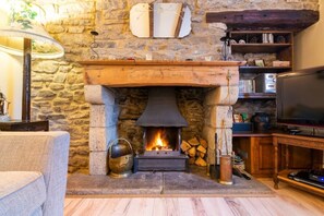Televisión, chimenea y libros 